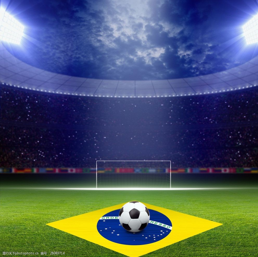 的视野中 的视野中