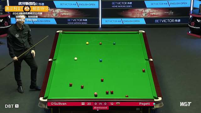 金标半马的 金标半马的